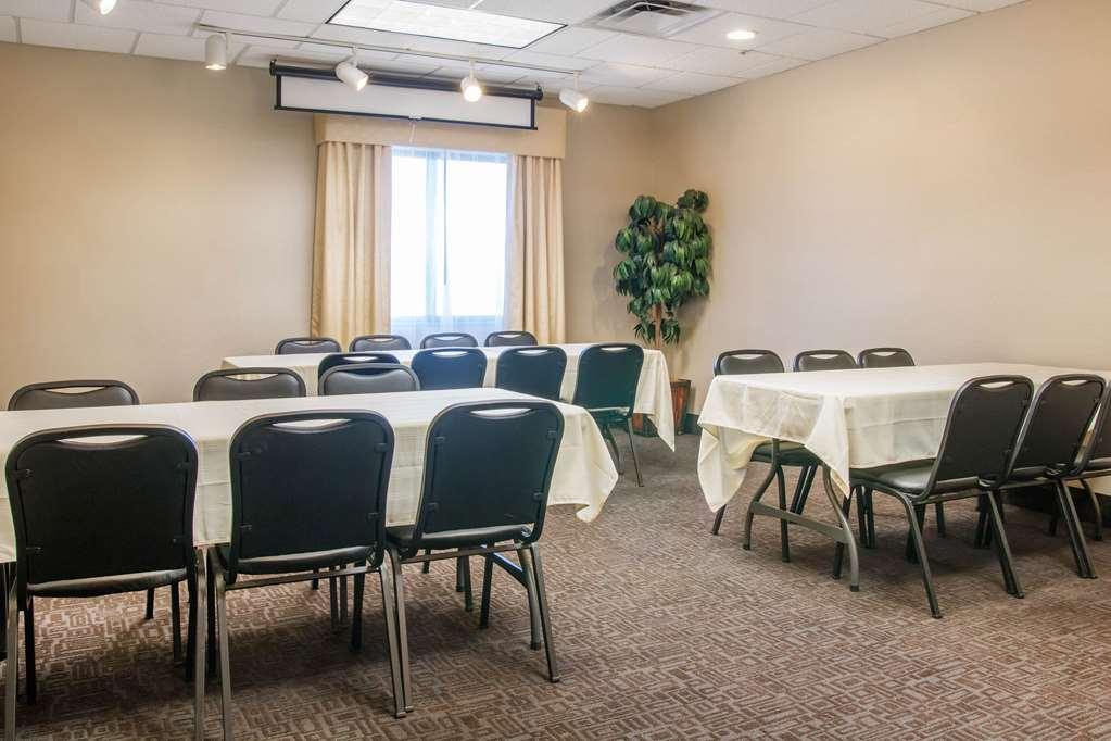 Comfort Suites Auburn Hills-Detroit Faciliteter billede