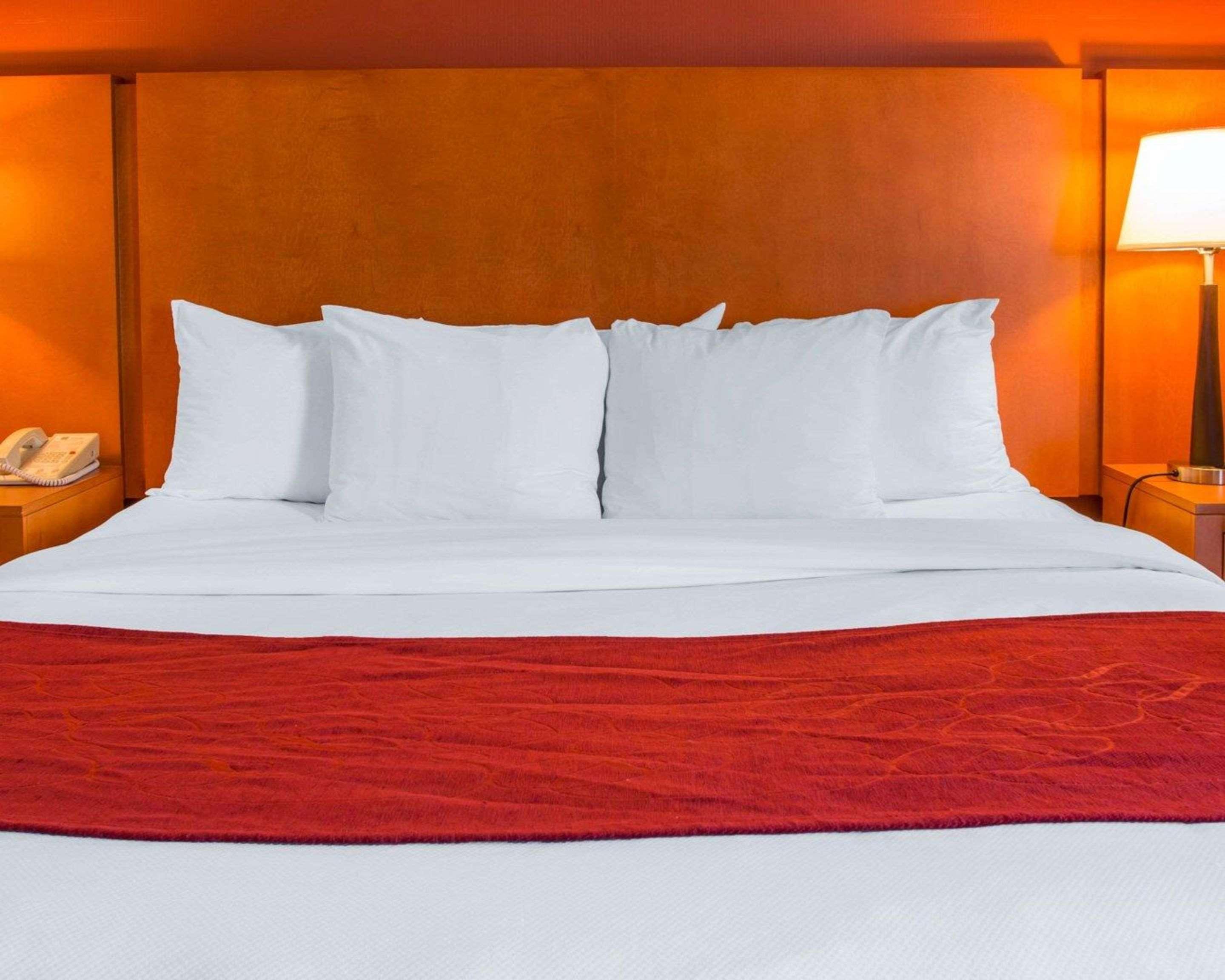 Comfort Suites Auburn Hills-Detroit Eksteriør billede