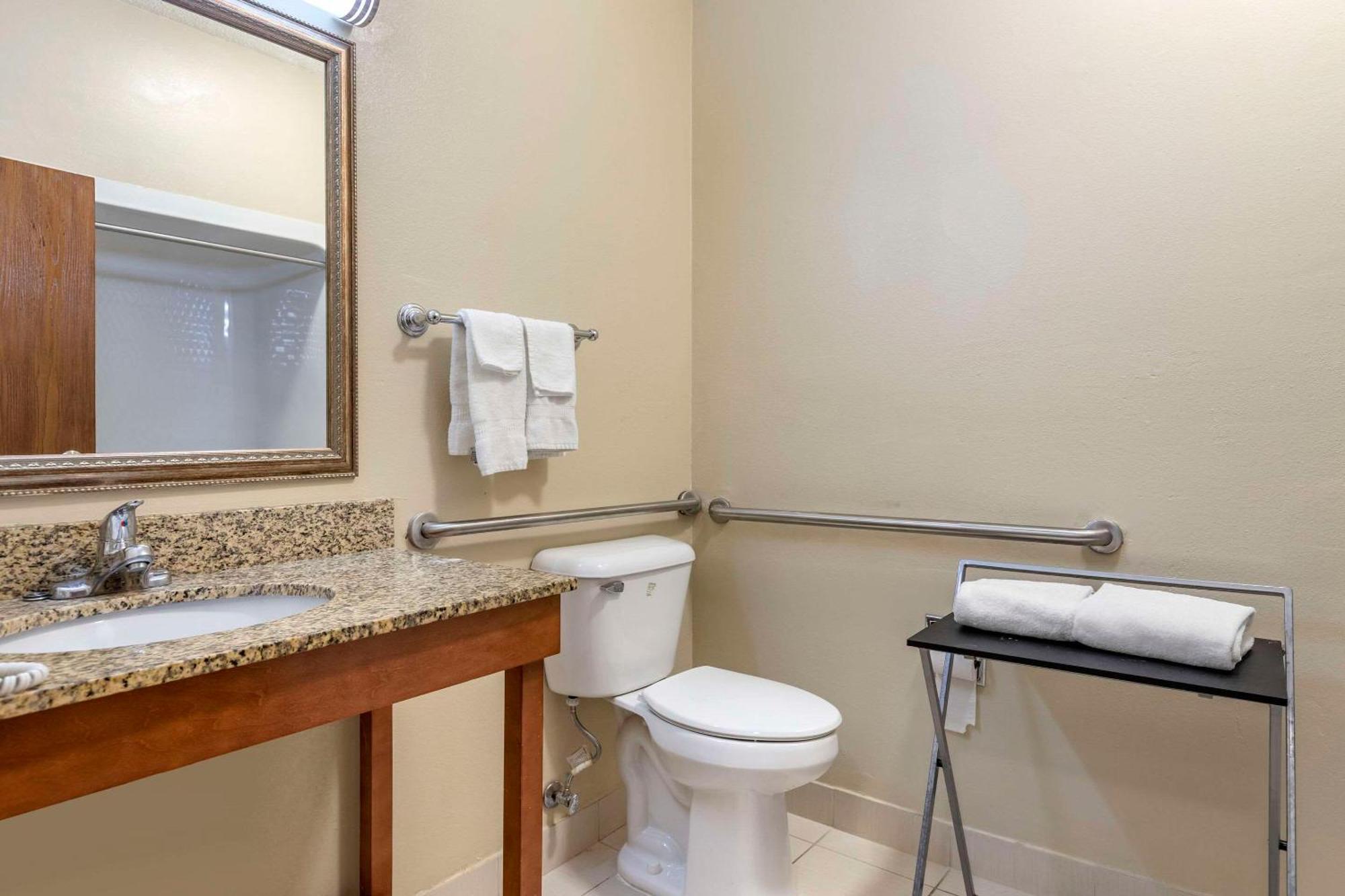 Comfort Suites Auburn Hills-Detroit Eksteriør billede